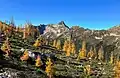 Porcupine Peak and larch trees viewed from Cutthroat Pass