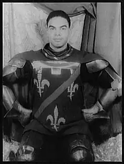 Young man in medieval armour with over-tunic with the French kings' fleur-de-lis motif