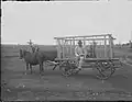 Husband and wife during rye harvest, Ruhnu (Runö) island, 1924