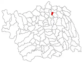 Location in Bacău County