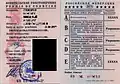Russian driving licence (old), 2008