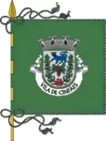 Flag of Cinfães