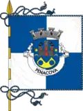 Flag of Penacova