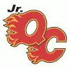 Jr. Flames logo