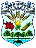Coat of arms of Cristinești