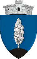 Coat of arms of Plopu