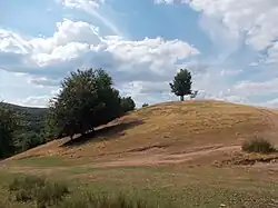 Rezervația peisagistică Tusa-Barcău