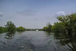 The mouth of the Nadela into the Danube