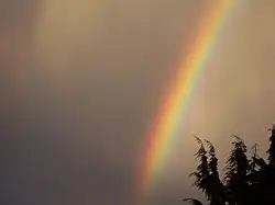 A curved rainbow against a grey sky.