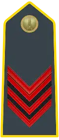 Appointee (Appuntato) (Lance corporal)