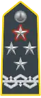 General of Army Corps (Lieutenant-General); General commanding the Guardia di Finanza.