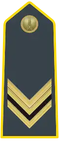 Vice Brigadier (Sovrintendenti - Vice Brigadiere) (Sergeant)