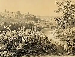 View of the Alhambra from the cactuses of Sacromonte by Francesco Xavier Parcerisa in 1850, in Recuerdos y bellezas de España.