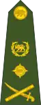 A Rhodesian Army general's insignia