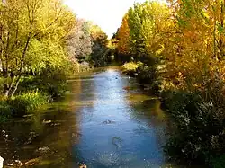 River Arlanzón in autumn