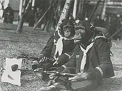 A pair of chimpanzees dressed as soldiers and carrying Japanese flags