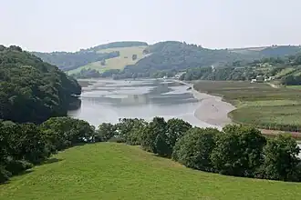 Mudflats and salt marshes on the lower reaches of the estuary system