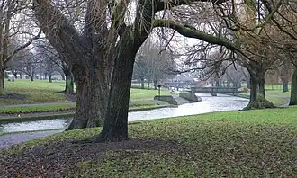 The park in December