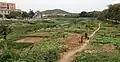 Farmers working plots along the river in Fenggang