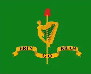 Flag raised by Robert Emmet during the Irish rebellion of 1803