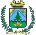 Coat of arms of Ronzo-Chienis