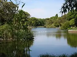 Ornamental Lake, Royal Botanic Gardens