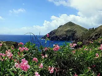 Beyond a tall grass and flowers is a blue bay surrounded by low rocky cliffs. On the opposite side of the bay is a large, cone-shaped hill.