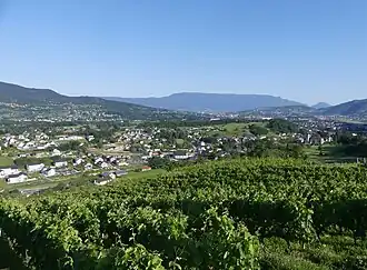 A view of Saint-Jeoire-Prieuré from the vineyards