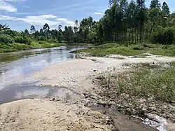 Sand deposits and vegetation around river Rwizi in Mbarara in western Uganda