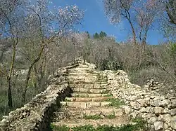 Sataf reconstruction