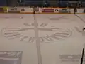 Centre ice logo.