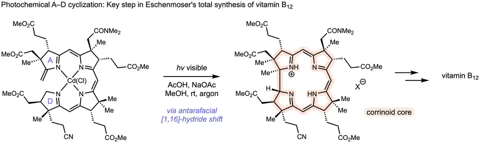 Corrinoid core of vitamin B12