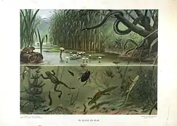 Marinus Adrianus Koekkoek