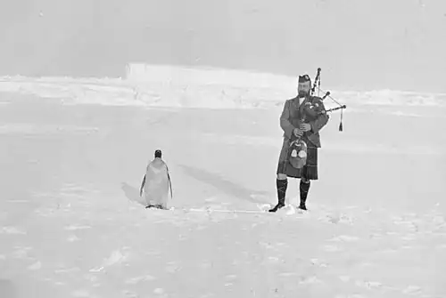 Man on right in Scots highland costume, playing bagpipes, while on the left a lone penguin stands. The ground is covered in ice, with a high ice ridge in the background.