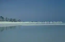 A diver swimming through a colorful underwater scene.