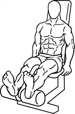 Seated leg curl at starting phase