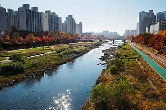 Tancheon Stream