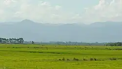 Landscape in the Pampas at eye level in Brazil