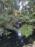 Small Cascade at Pinecrest Gardens