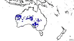 Solanum sturtianum distribution map