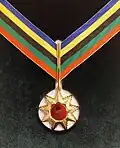 Special medal awarded by Lithuanian Olympic Committee