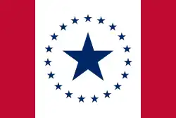 "Hospitality Flag" (2014)