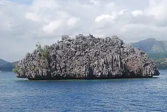 A stone islet in Coron Island