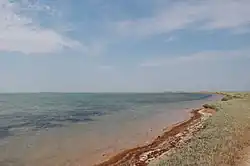 A beach by the Syvash