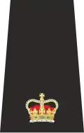 Isle of Man Police Superintendant Epaulette