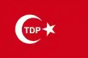 Flag of the Democratic Party of Turks