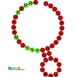 TLS-PK6: Secondary structure taken from the Rfam database. Family RF01101. Derived from Pseudobase PKB00130