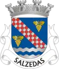 Coat of arms of Salzedas