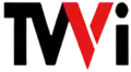 Second logo as TVVI from 2008 to 2010.