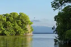 Tacarigua Lagoon National Park